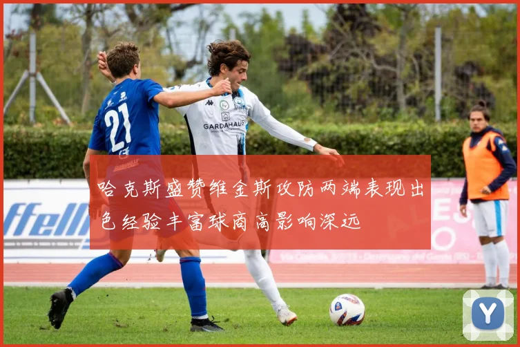 哈克斯盛赞维金斯攻防两端表现出色经验丰富球商高影响深远