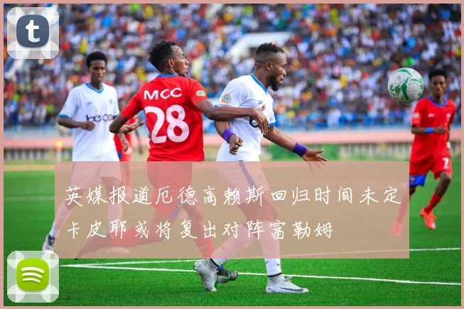 英媒报道厄德高赖斯回归时间未定卡皮耶或将复出对阵富勒姆